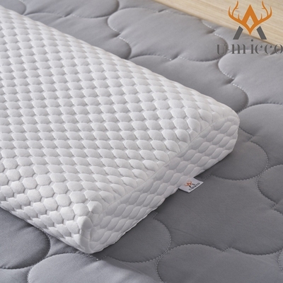 Odor Resistant Polymeric Bed Pillow Negotiable Size